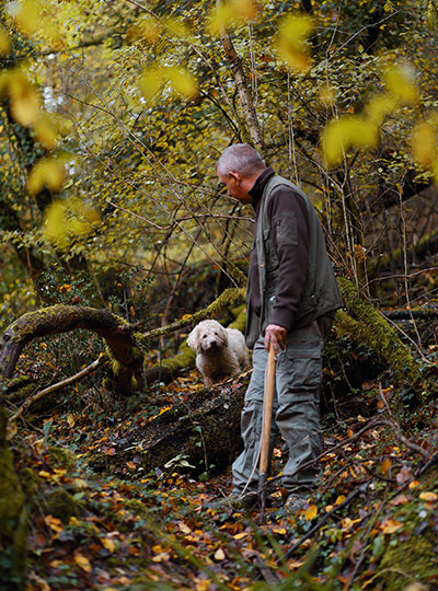 Truffle hunting San Miniato Pisa