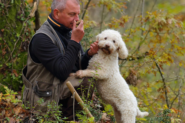 Truffle in Tuscany is truffle hunting experience in San Miniato Pisa Florence
